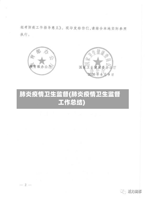 肺炎疫情卫生监督(肺炎疫情卫生监督工作总结)-第3张图片