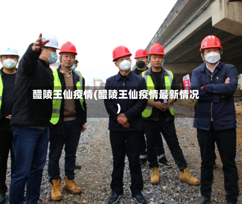 醴陵王仙疫情(醴陵王仙疫情最新情况)