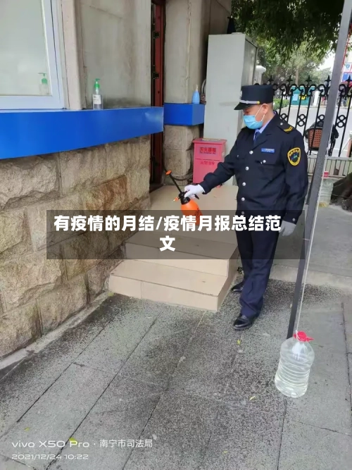 有疫情的月结/疫情月报总结范文-第3张图片