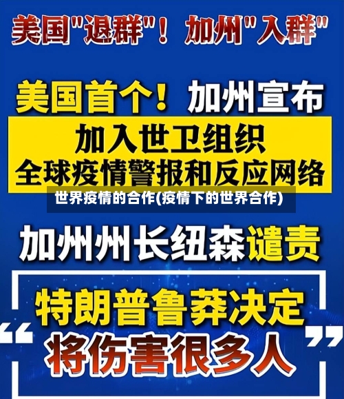 世界疫情的合作(疫情下的世界合作)-第1张图片