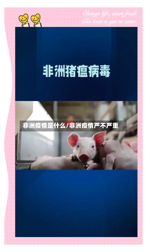 非洲疫情是什么/非洲疫情严不严重-第1张图片