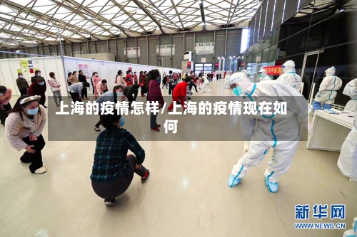上海的疫情怎样/上海的疫情现在如何-第1张图片