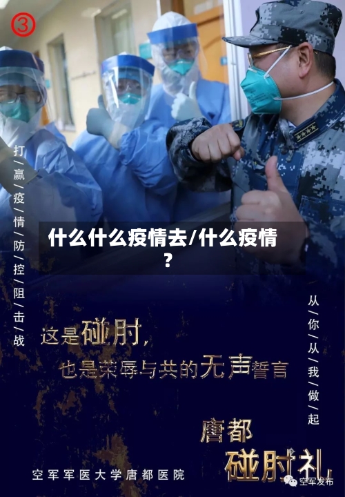 什么什么疫情去/什么疫情?-第1张图片
