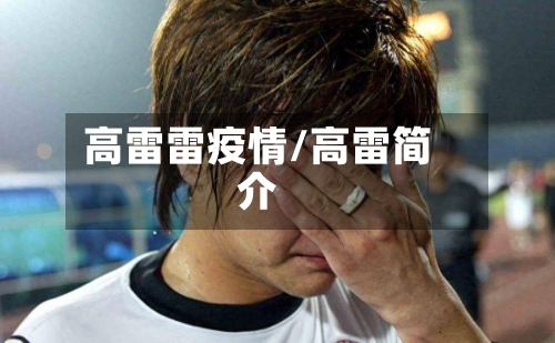 高雷雷疫情/高雷简介-第1张图片