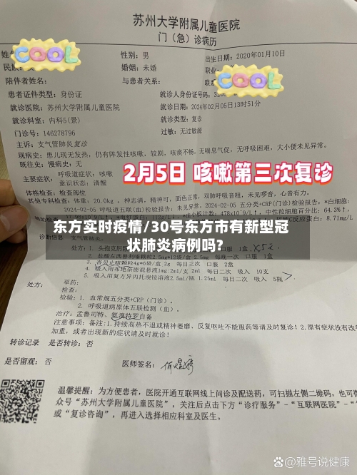 东方实时疫情/30号东方市有新型冠状肺炎病例吗?-第2张图片