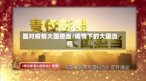 面对疫情大国担当/疫情下的大国当担-第1张图片