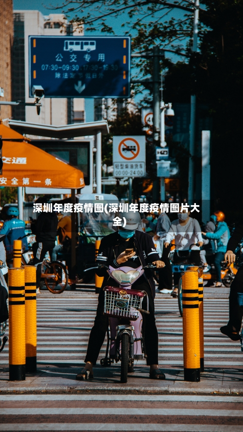 深圳年度疫情图(深圳年度疫情图片大全)-第2张图片