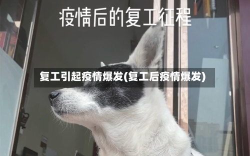 复工引起疫情爆发(复工后疫情爆发)-第1张图片