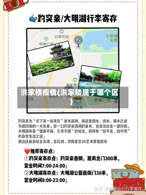 洪家楼疫情(洪家楼属于哪个区)-第2张图片