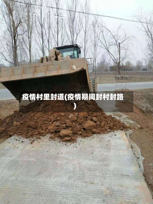 疫情村里封道(疫情期间封村封路)-第1张图片