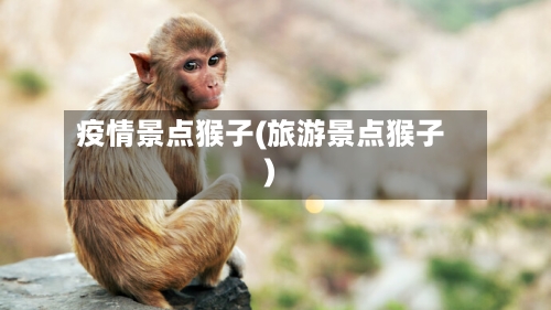 疫情景点猴子(旅游景点猴子)-第1张图片