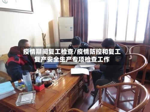 疫情期间复工检查/疫情防控和复工复产安全生产专项检查工作-第2张图片