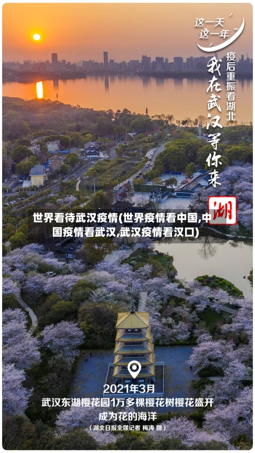 世界看待武汉疫情(世界疫情看中国,中国疫情看武汉,武汉疫情看汉口)-第1张图片