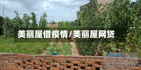 美丽屋借疫情/美丽屋网贷-第2张图片