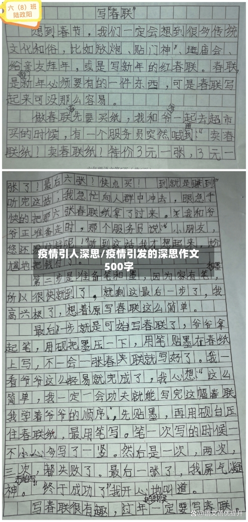 疫情引人深思/疫情引发的深思作文500字-第3张图片