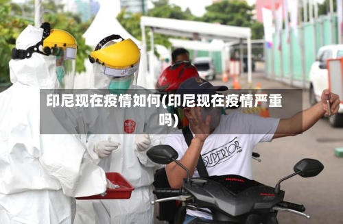 印尼现在疫情如何(印尼现在疫情严重吗)-第2张图片