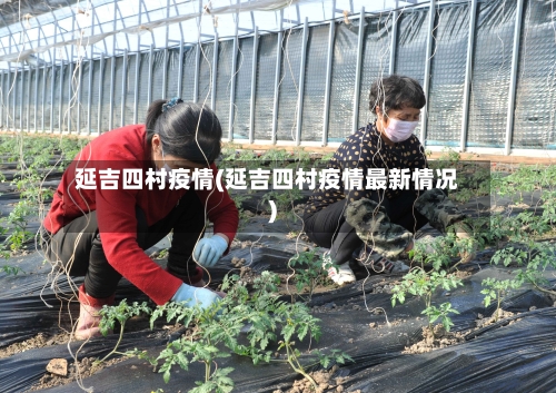 延吉四村疫情(延吉四村疫情最新情况)-第1张图片