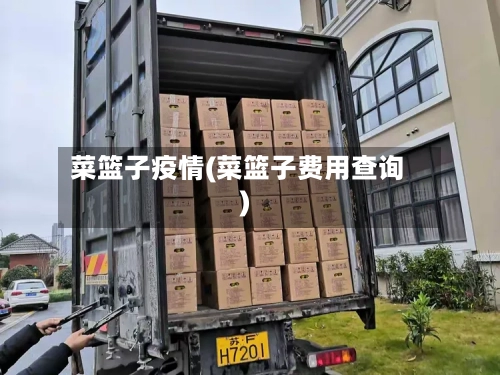 菜篮子疫情(菜篮子费用查询)-第1张图片