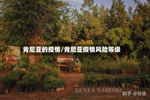 肯尼亚的疫情/肯尼亚疫情风险等级-第3张图片