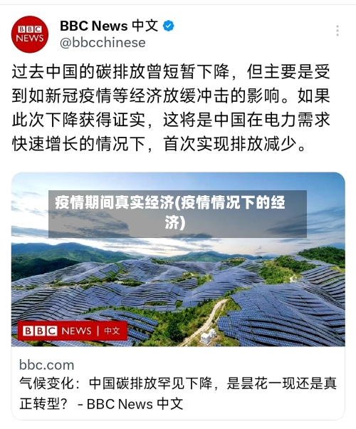 疫情期间真实经济(疫情情况下的经济)-第1张图片